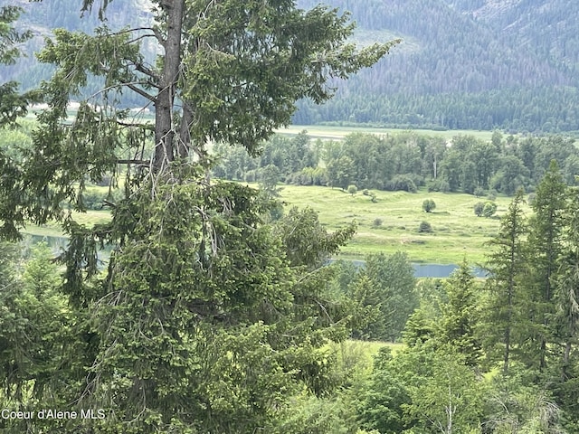 2447 Turner Hill Rd, Bonners Ferry, ID 83805 - photo 61