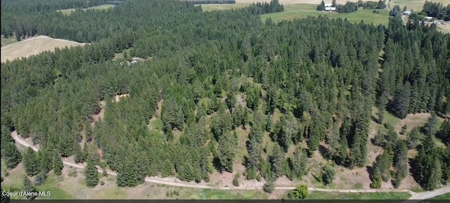 2447 Turner Hill Rd, Bonners Ferry, ID 83805 - photo 64
