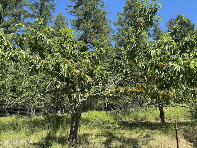 2447 Turner Hill Rd, Bonners Ferry, ID 83805 - photo 73