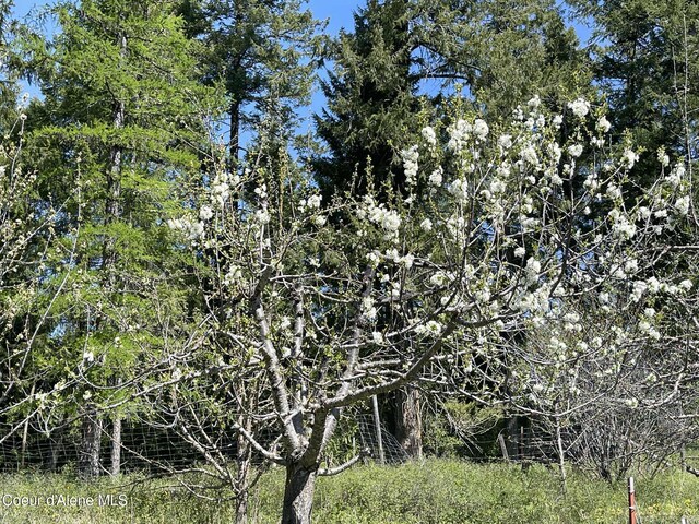 2447 Turner Hill Rd, Bonners Ferry, ID 83805 - photo 74