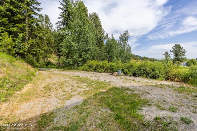 19441 N Rustic Ridge Trl, Rathdrum, ID 83858 - view of yard