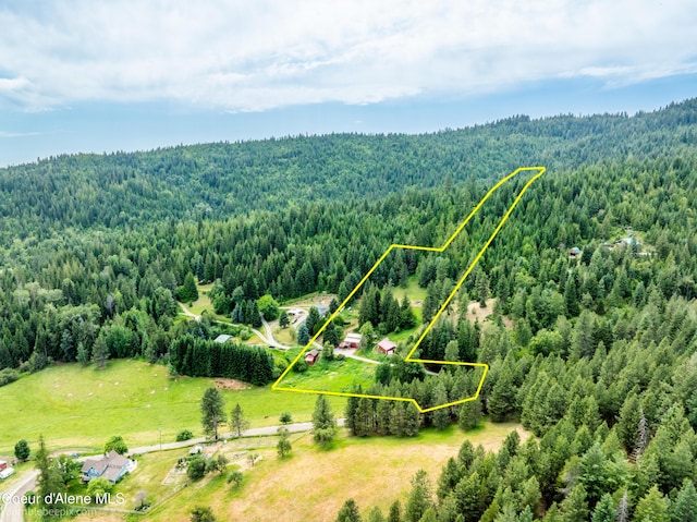 19441 N Rustic Ridge Trl, Rathdrum, ID 83858 - aerial view of property's location featuring a forest and property boundaries highlighted