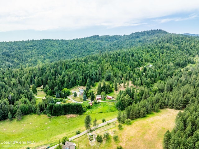 19441 N Rustic Ridge Trl, Rathdrum, ID 83858 - bird's eye view of a forest and a mountain backdrop