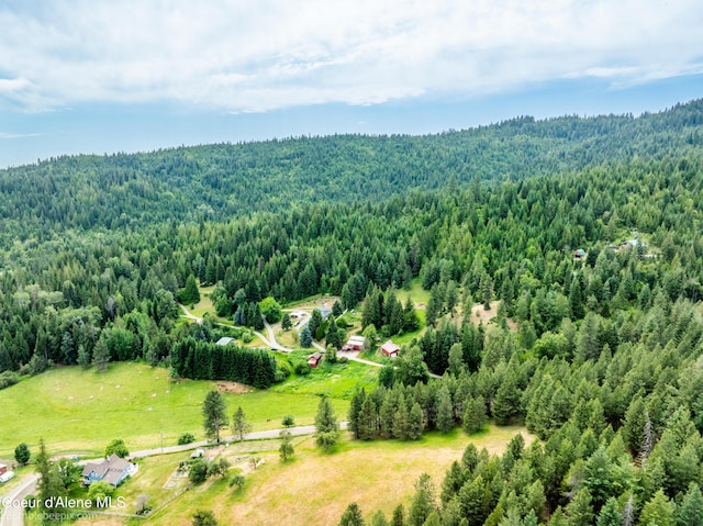 19441 N Rustic Ridge Trl, Rathdrum, ID 83858 - aerial view of a forest