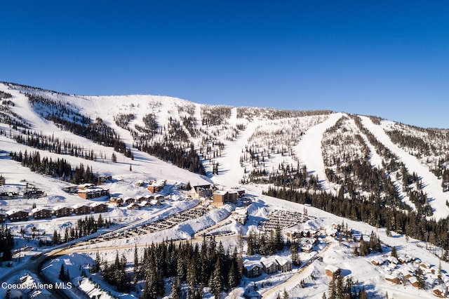 1313 N Division Ave Unit C, Sandpoint, ID 83864 - view of mountain background