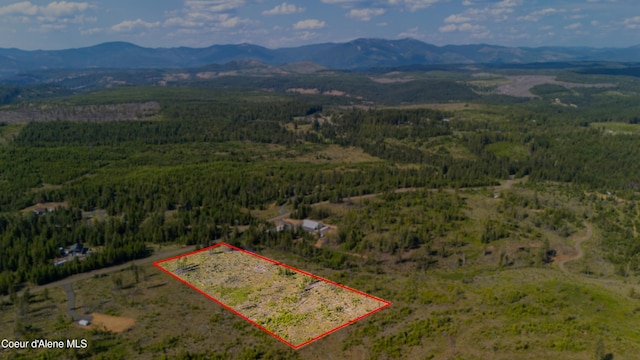 LOT8 Sportsman Rd, Saint Maries, ID 83861 - photo 6