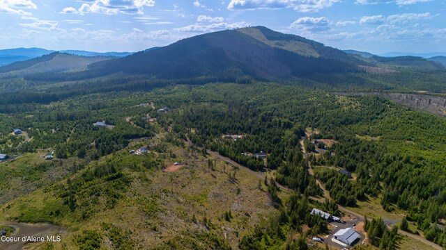 LOT8 Sportsman Rd, Saint Maries, ID 83861 - photo 8