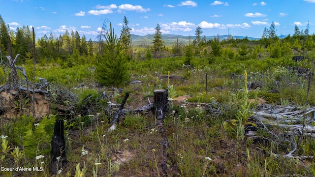 LOT8 Sportsman Rd, Saint Maries, ID 83861 - photo 9