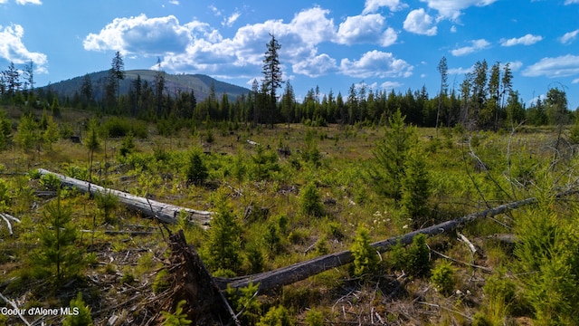 LOT8 Sportsman Rd, Saint Maries, ID 83861 - photo 10
