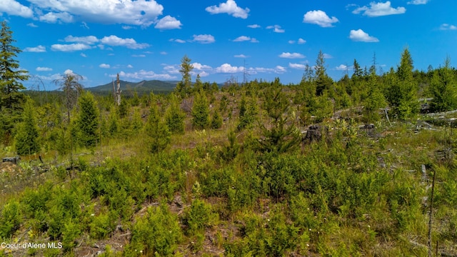 LOT8 Sportsman Rd, Saint Maries, ID 83861 - photo 11