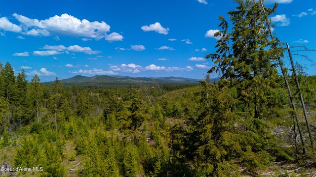 LOT8 Sportsman Rd, Saint Maries, ID 83861 - photo 12