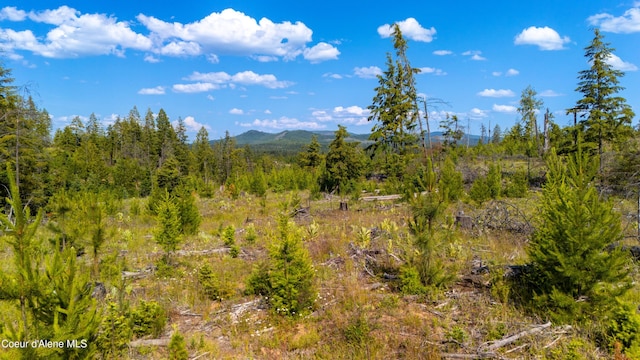 LOT8 Sportsman Rd, Saint Maries, ID 83861 - photo 2