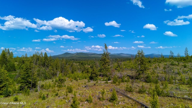 LOT8 Sportsman Rd, Saint Maries, ID 83861 - photo 13