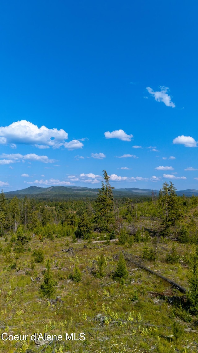 LOT8 Sportsman Rd, Saint Maries, ID 83861 - photo 14