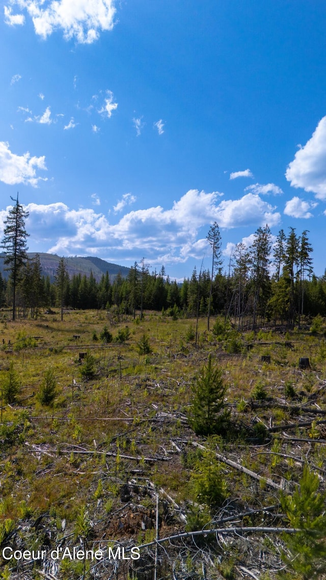 LOT8 Sportsman Rd, Saint Maries, ID 83861 - photo 15