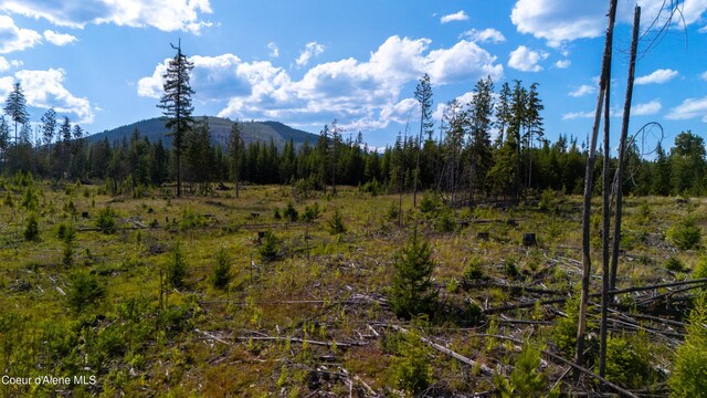 LOT8 Sportsman Rd, Saint Maries, ID 83861 - photo 3