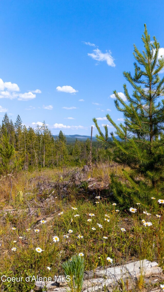 LOT8 Sportsman Rd, Saint Maries, ID 83861 - photo 16