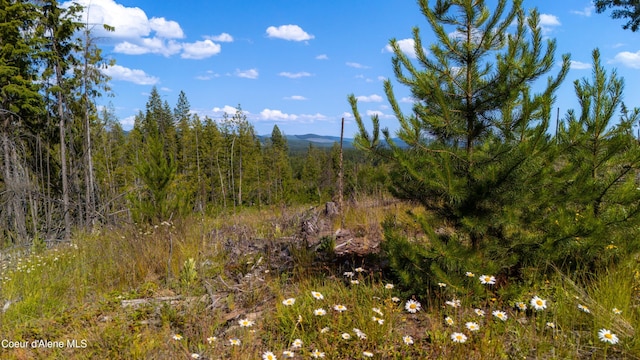 LOT8 Sportsman Rd, Saint Maries, ID 83861 - photo 17