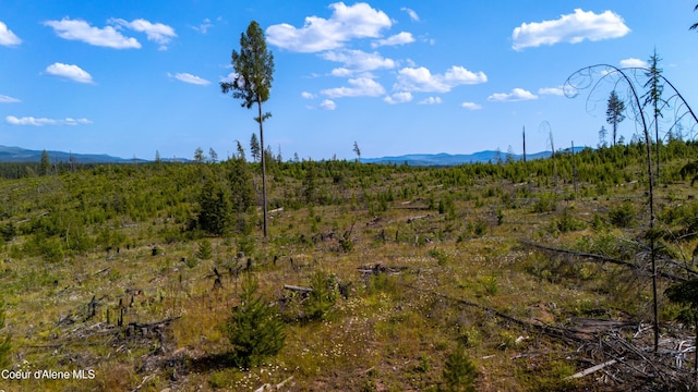 LOT8 Sportsman Rd, Saint Maries, ID 83861 - photo 18