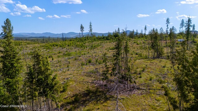 LOT8 Sportsman Rd, Saint Maries, ID 83861 - photo 19