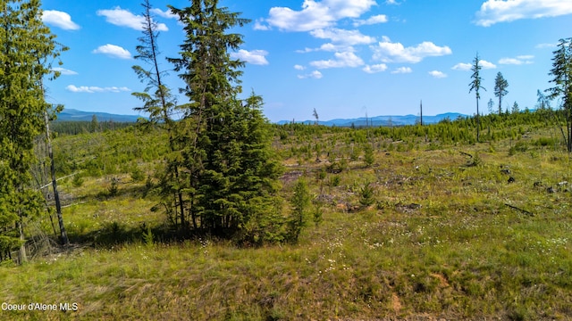 LOT8 Sportsman Rd, Saint Maries, ID 83861 - photo 20