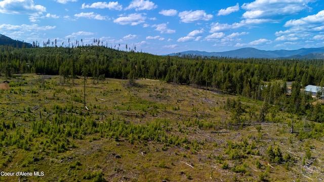 LOT8 Sportsman Rd, Saint Maries, ID 83861 - photo 22