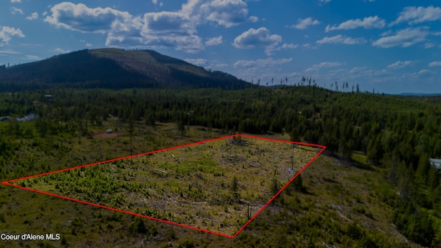LOT8 Sportsman Rd, Saint Maries, ID 83861 - photo 23