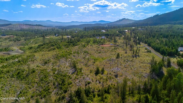 LOT8 Sportsman Rd, Saint Maries, ID 83861 - photo 24