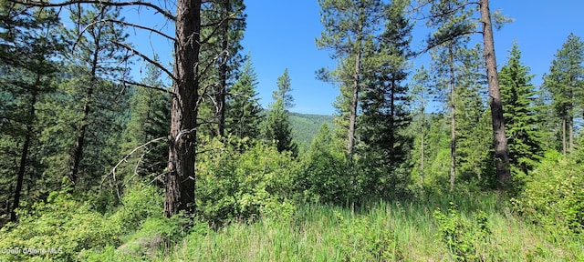 NNA Snowcat Lane Tract 4, Bonners Ferry, ID 83805 - photo 4