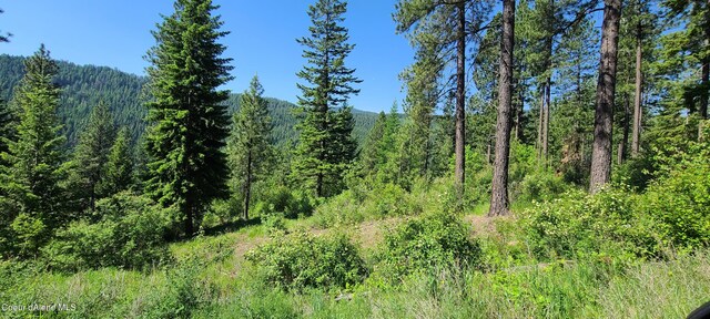 NNA Snowcat Lane Tract 4, Bonners Ferry, ID 83805 - photo 7