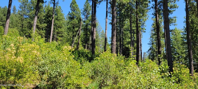 NNA Snowcat Lane Tract 4, Bonners Ferry, ID 83805 - photo 10