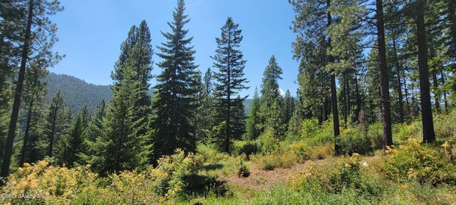 NNA Snowcat Lane Tract 4, Bonners Ferry, ID 83805 - photo 11