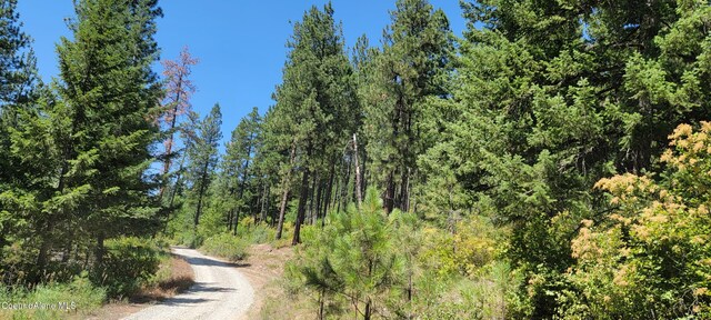 NNA Snowcat Lane Tract 4, Bonners Ferry, ID 83805 - photo 14