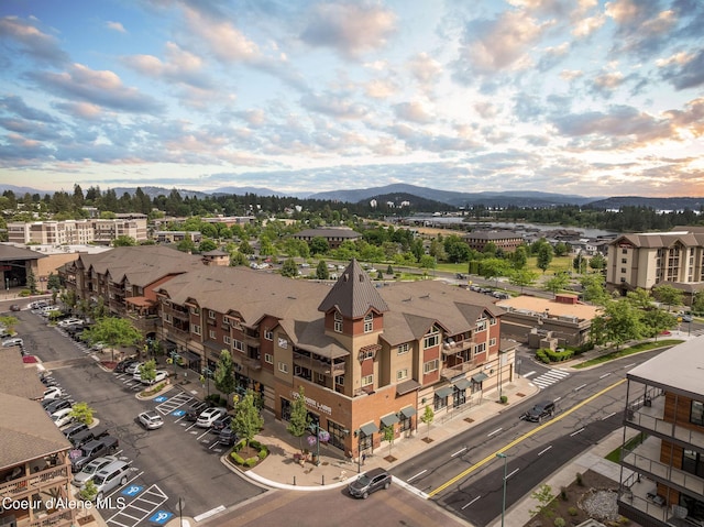 2050 N Main St, Coeur Dalene, ID 83814 - drone / aerial view of a mountain backdrop