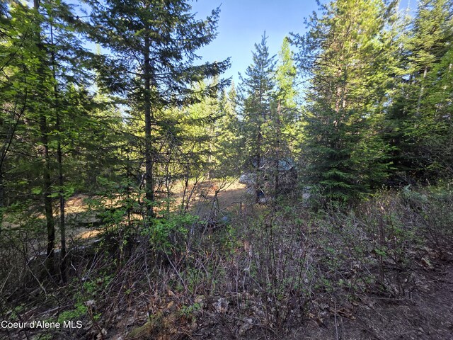 NKA Lookout Rd, Newport, WA 99156 - photo 39
