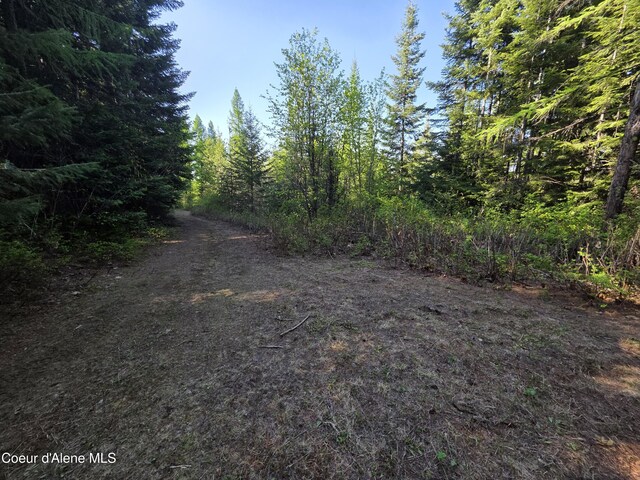NKA Lookout Rd, Newport, WA 99156 - photo 40