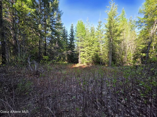 NKA Lookout Rd, Newport, WA 99156 - photo 41