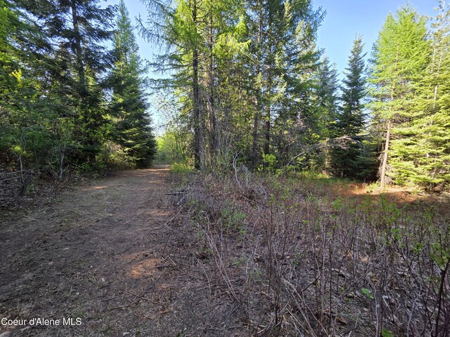 NKA Lookout Rd, Newport, WA 99156 - photo 42