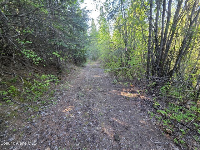 NKA Lookout Rd, Newport, WA 99156 - photo 44