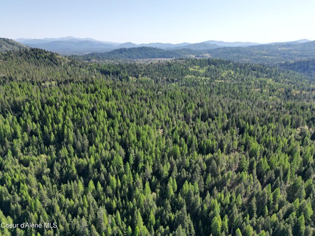 NKA Lookout Rd, Newport, WA 99156 - photo 22