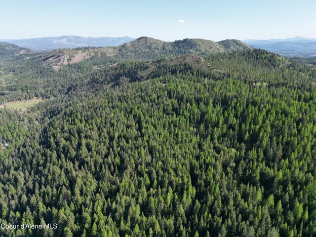 NKA Lookout Rd, Newport, WA 99156 - photo 23