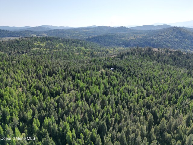 NKA Lookout Rd, Newport, WA 99156 - photo 29