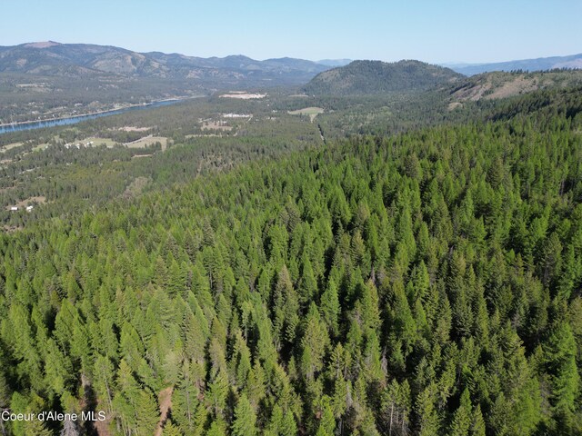 NKA Lookout Rd, Newport, WA 99156 - photo 21