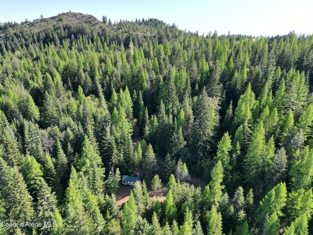 NKA Lookout Rd, Newport, WA 99156 - photo 24