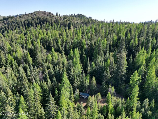 NKA Lookout Rd, Newport, WA 99156 - photo 30