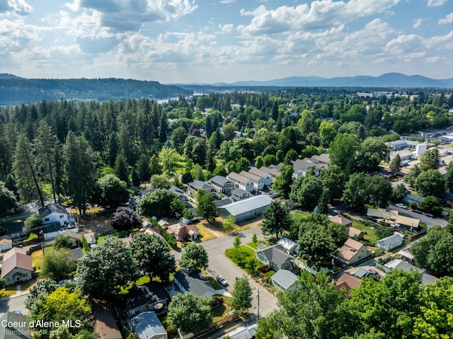 1025 N 1st St, Coeur Dalene, ID 83814 - aerial view of residential area with a mountain backdrop and a forest