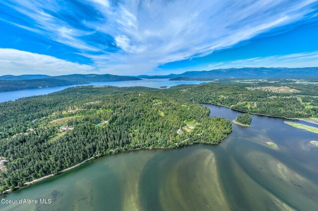 161 Finch Trl, Sandpoint, ID 83864 - photo 13