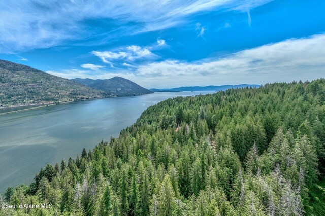 161 Finch Trl, Sandpoint, ID 83864 - photo 16