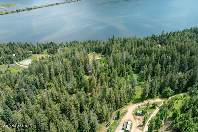 161 Finch Trl, Sandpoint, ID 83864 - photo 24