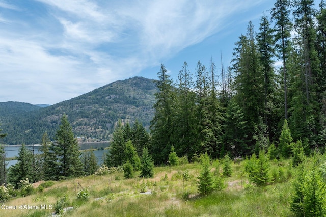 161 Finch Trl, Sandpoint, ID 83864 - photo 3